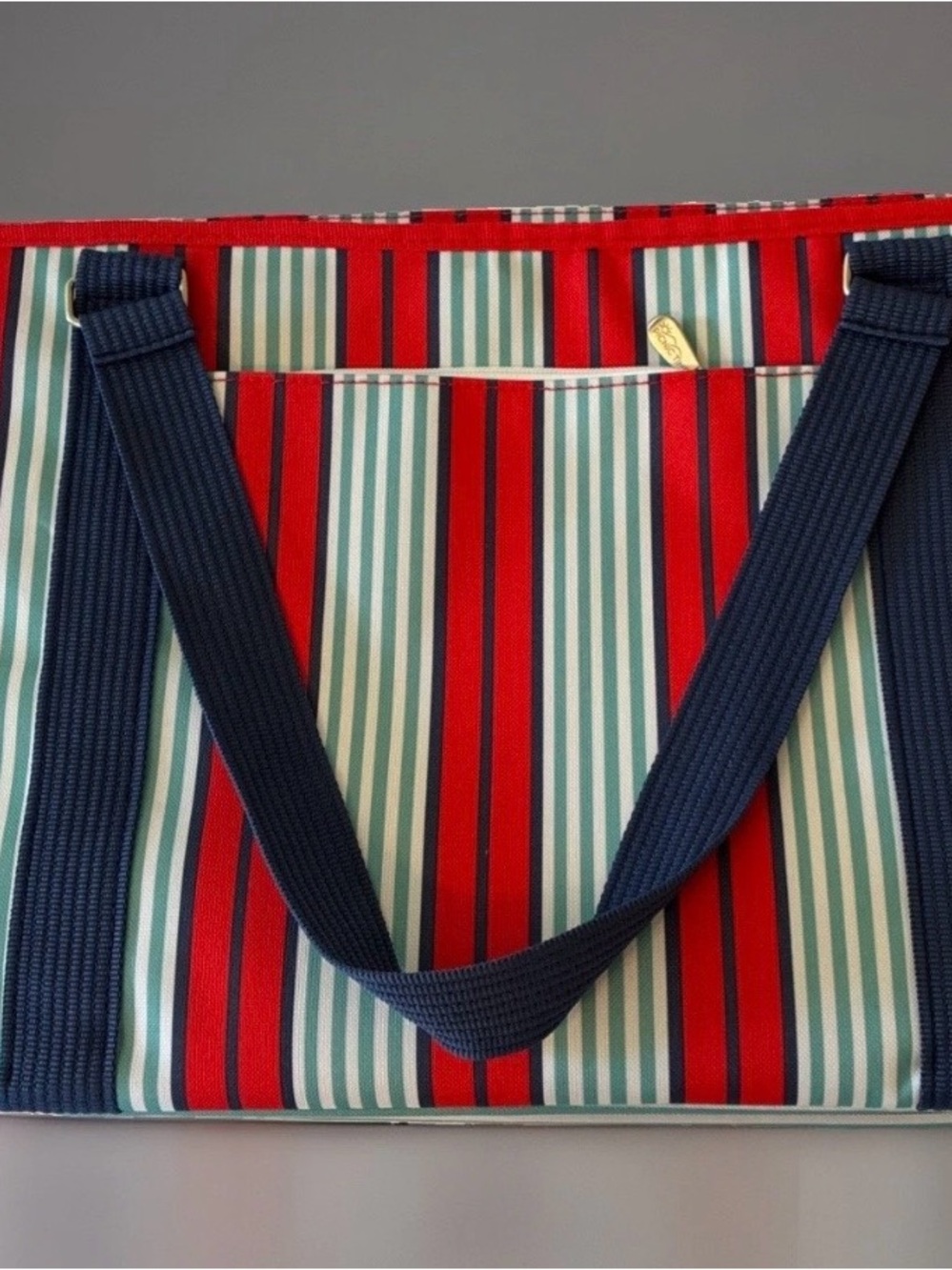 Striped Red & Navy Insulated Tote Bag